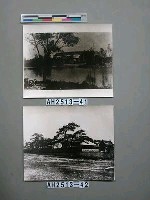 藏品(遼寧東京陵)的圖片